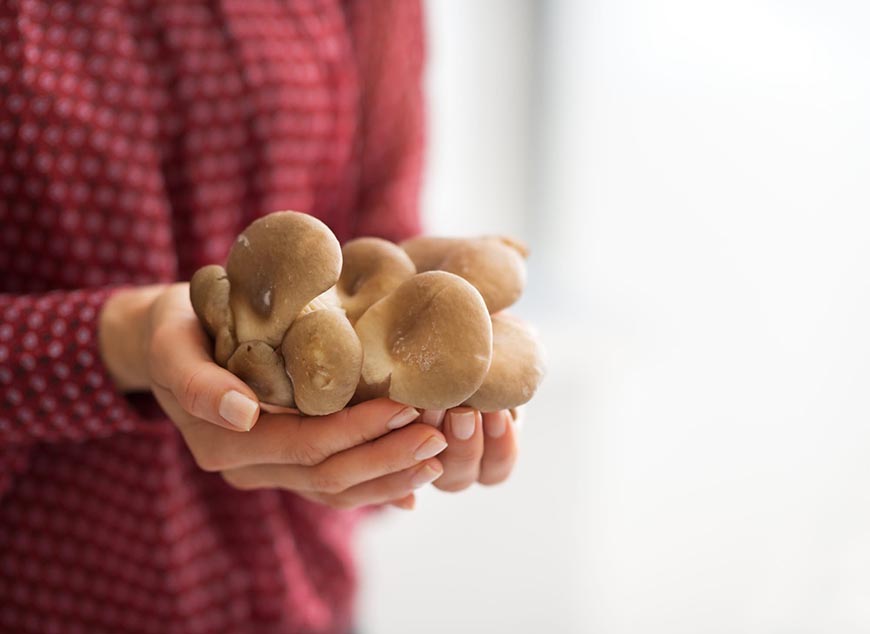 Celebrele ciuperci „Champignon”, beneficii uriașe pentru sănătate. Ce se întâmplă în organismul tău atunci când le consumi